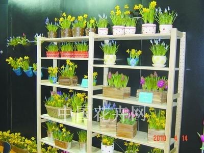外國展商瞄準(zhǔn)中國禮品花卉市場(chǎng)需求 看好市場(chǎng)前景